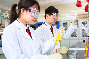 北京愛迪國際學(xué)校英國高中招生簡章