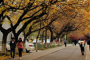 山东师范大学出国留学校园环境秋日校园