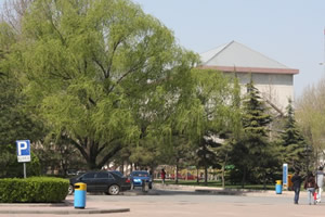 对外经济贸易大学出国留学校园环境春季校园