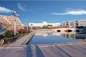 山东理工大学2+2留学招生简章