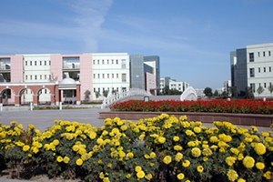 山东理工大学韩国留学预科招生简章