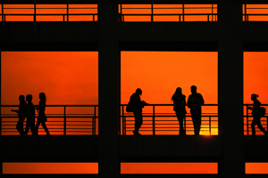 温州大学IEP国际本科项目(1+3/2+2)招生简章