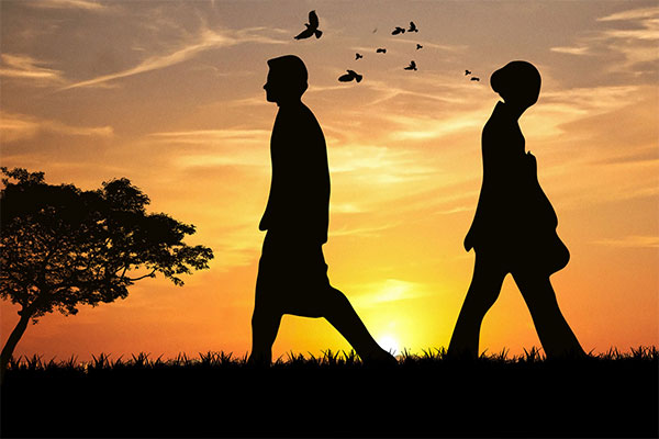 ����ķ��������