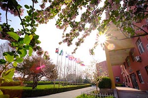 北京市通州區(qū)私立樹人學(xué)校校園一角