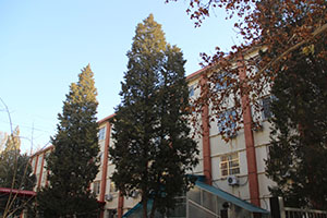 華油榮德小學公寓樓