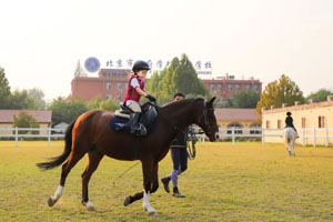 北京新府學外國語學校(國內班)馬術場