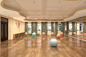 三河市燕橋學校體育館