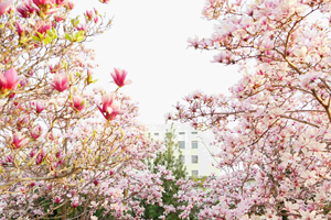 北京市匯賢學校學校環境