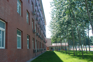 北京中加学校|通州华仁学校绿化环境