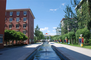 北京中加学校|通州华仁学校学校一角