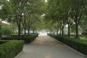 北京中加学校|通州华仁学校学校小路