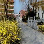 山东职业学院出国留学学校风采校园环境