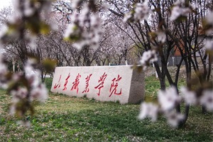 山东职业学院法国本科2+2留学招生简章