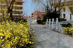 山东职业学院出国留学校园环境校园环境