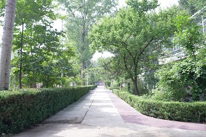 國賢BIC國際高中學部校園環境2