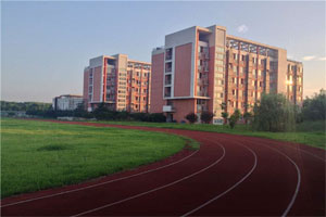 ���ݸ���Ӱ������ѧУ