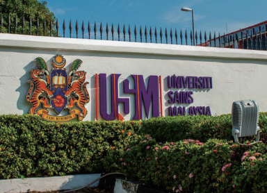  青岛大学0.5+3+1本硕定向班 招生简章