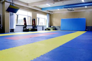 北京新学道临川学校体术馆