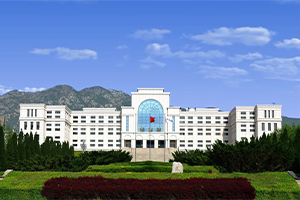 大连大学2+2国际本科新加坡招生简章