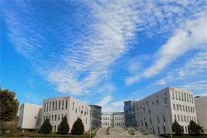 山东艺术学院2+2国际本科马来西亚招生简章