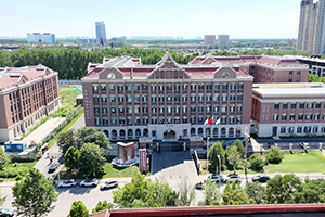 天津市新城高級中學學校全景