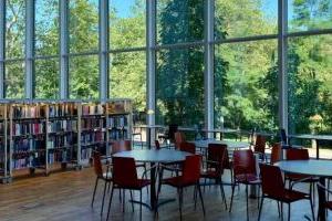 北京市志清中學國際部高考 + 雅思聯合培養班招生簡章