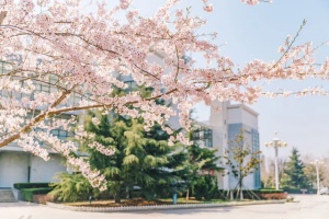 中国石油大学(华东)出国留学校园环境校园环境