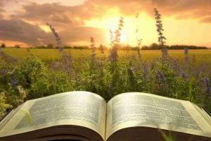 北京市第八中學怡海分校國際部OSSD國際高中招生簡章