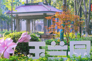 ����ʦ����ѧ��ְ�о���