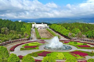 ������ҽҩ��ѧ��ְ�о���