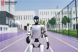 君诚国际双语学校智能机器人
