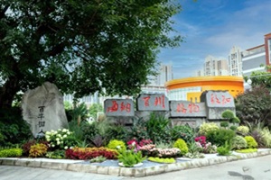 �����й��ʲ��ձ���