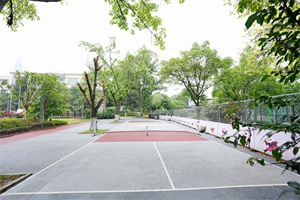 美中国际爱智学校新加坡预科中心网球场