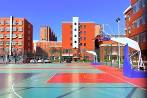 北京大成临川学校篮球场