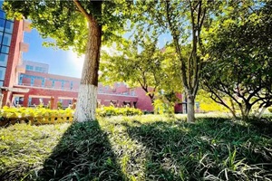 北京外国语大学外籍人员子女学校(地址：北外附校)校园环境