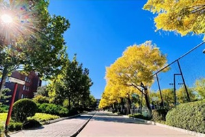 北京外国语大学外籍人员子女学校(地址：北外附校)校园走道