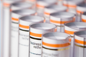 荷兰商学院企业经济学EMBA招生简章（北京）