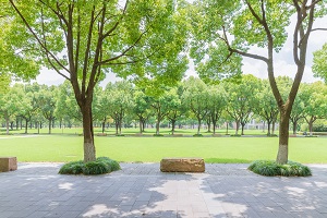 中国石油大学（北京）3+1国际本科匈牙利专项班招生简章