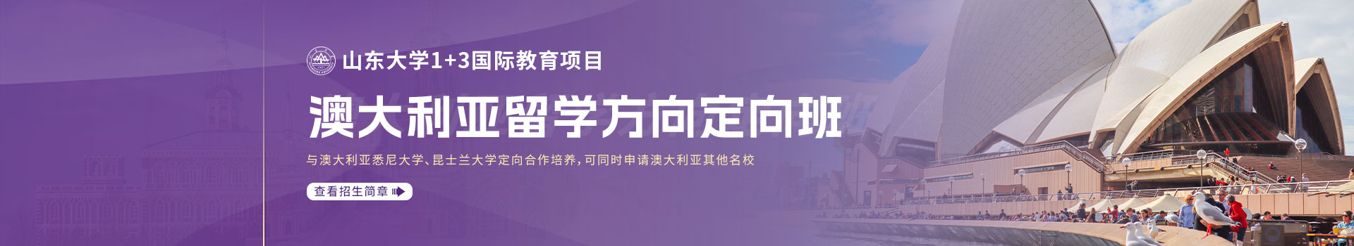  山东大学国际教育项目