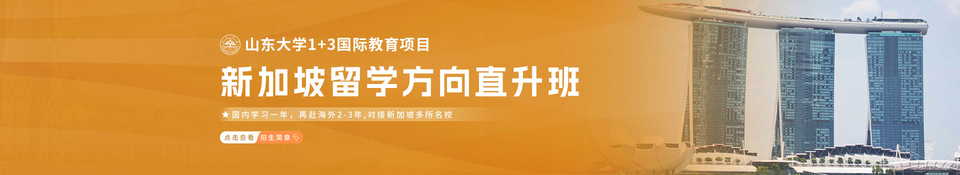  山东大学国际教育项目