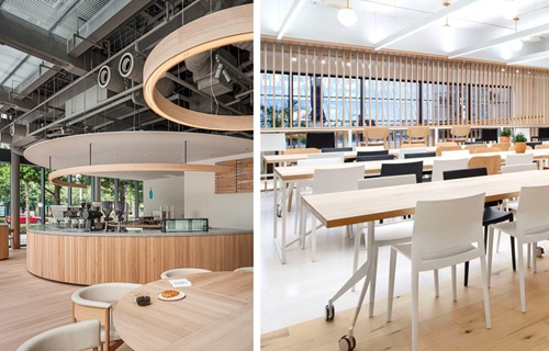 北京市朝阳区新亚学校开放日预约