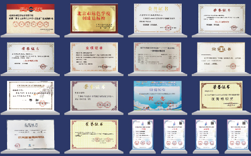 北京海淀区崛起实验学校小学部获奖情况