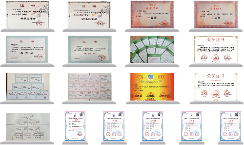 海淀崛起实验学校中学部获奖情况