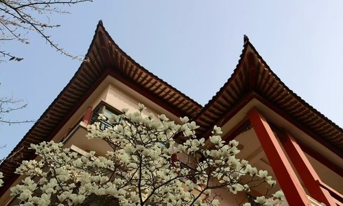 北京拔萃双语学校