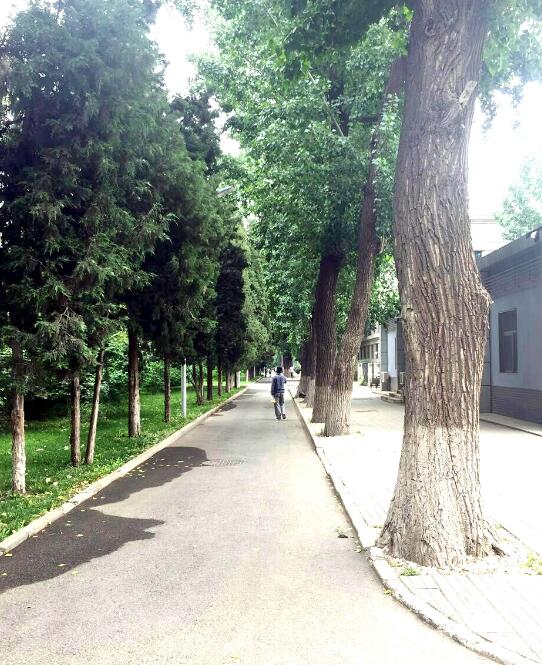 缘分于此开始这个九月北航3+2与您相约