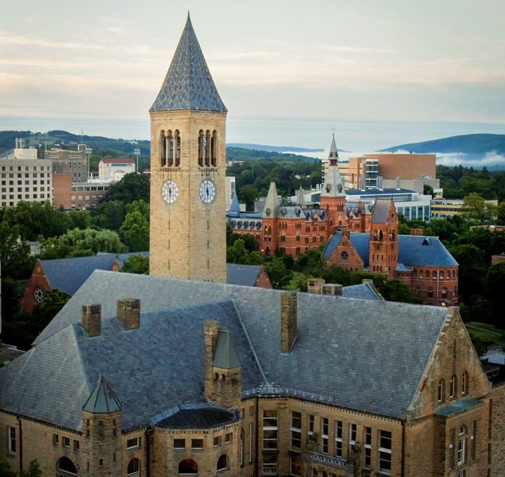 康奈尔大学