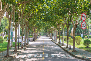 攝圖網_501005996_wx.jpg