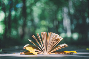 首经贸大学在职研究生和全日制研究生哪个更好？