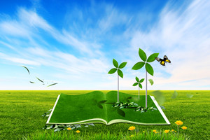 北京在职研究生哪个学校好？