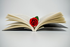 華北電力大學(xué)在職研究生對(duì)學(xué)歷要求嗎